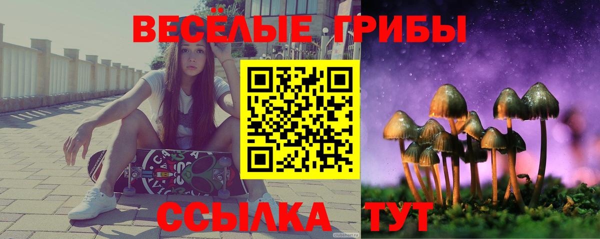 Галлюциногенные грибы Psilocybine cubensis  Вход с VPN  Трёхгорный  Галлюциногенные грибы прущие грибы 